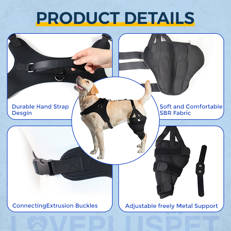 Dog Torn Acl Brace