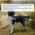 Knuckleless boot brace for dogs