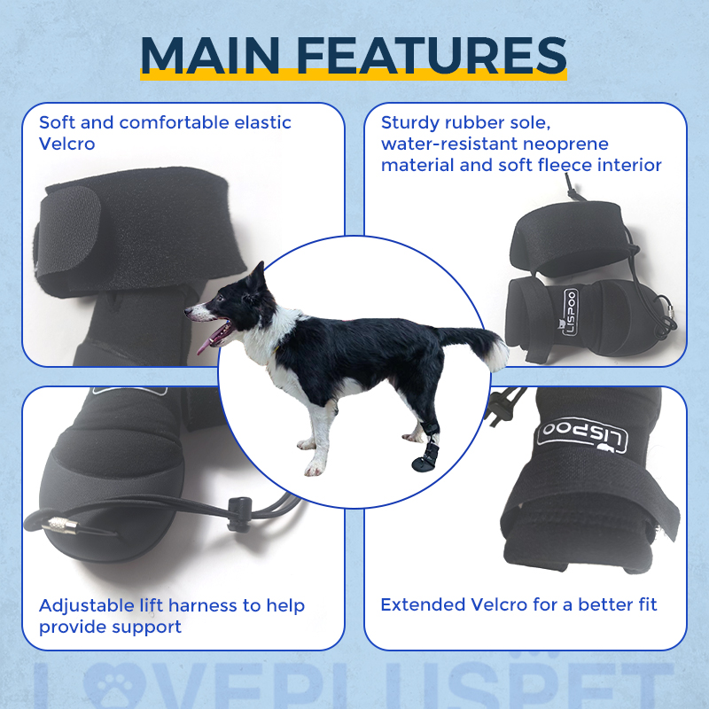 Knuckleless boot brace for dogs