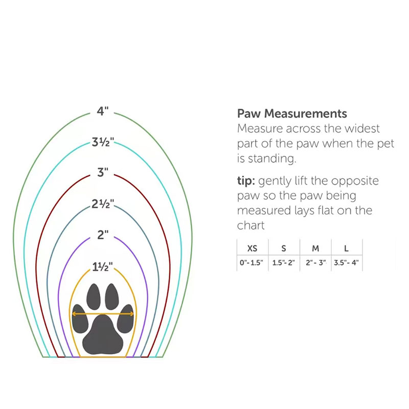 Knuckleless boot brace for dogs
