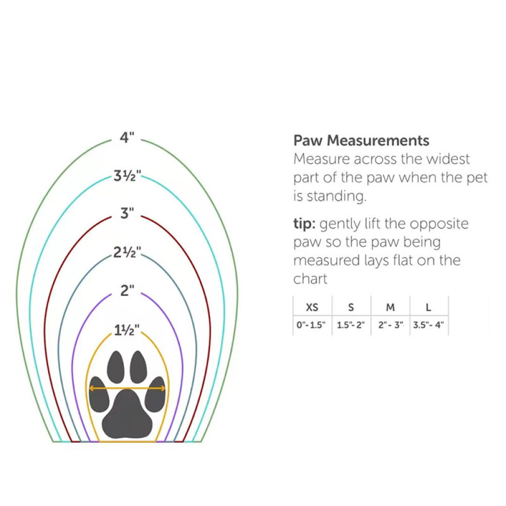 Knuckleless boot brace for dogs