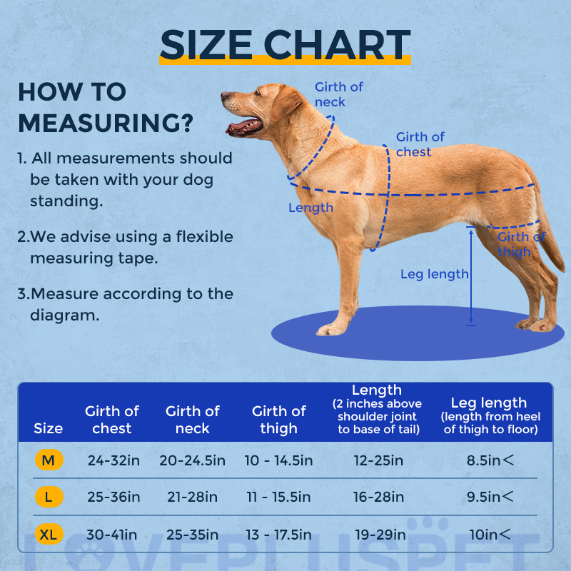 ACL dog knee brace with metal splint hinge support 