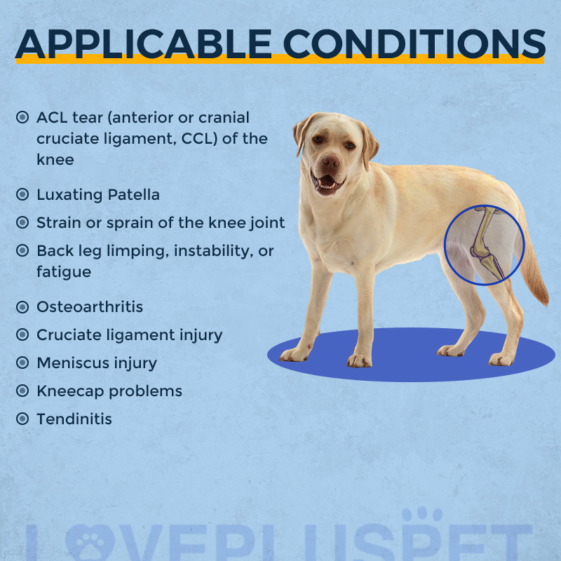 Dog Knee Brace with Metal Splint Hinge Support for ACL