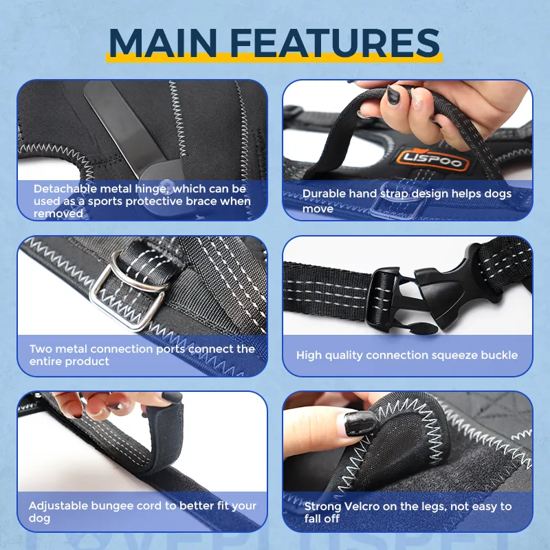 Dog Knee Brace with Metal Splint Hinge Support for ACL