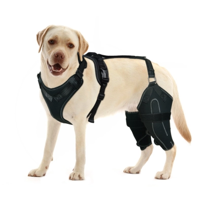 Dog Knee Brace with Metal Splint Hinge Support for ACL 01