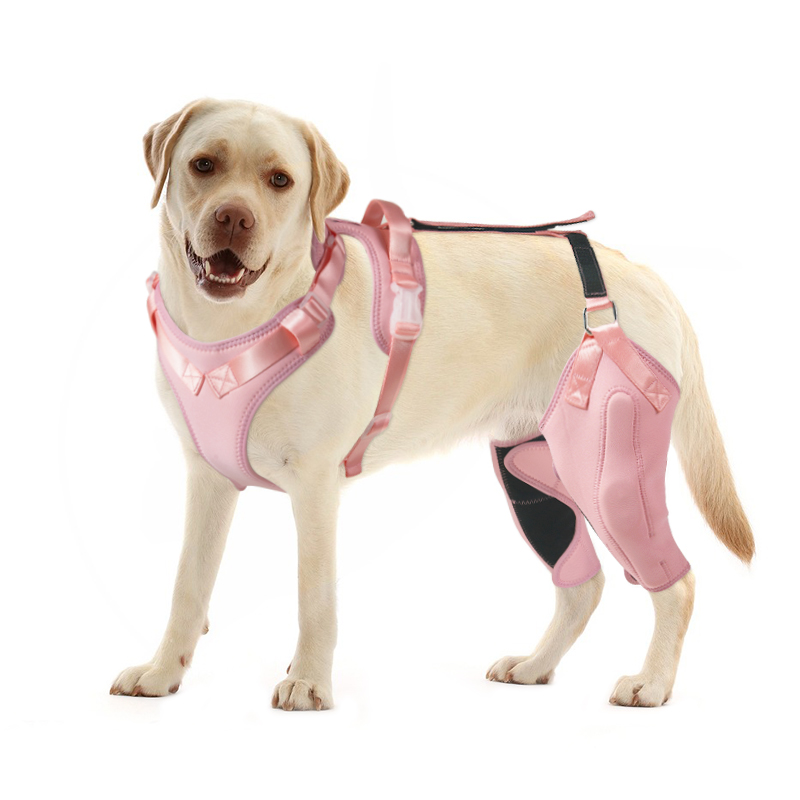 ACL dog knee brace with metal splint hinge support 