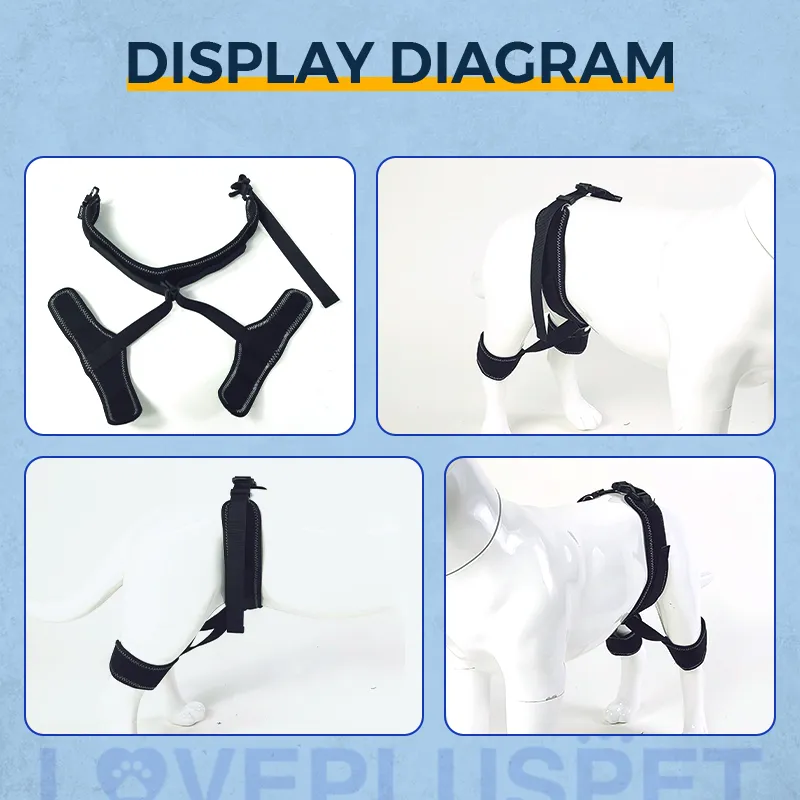 Dog hind leg hip brace