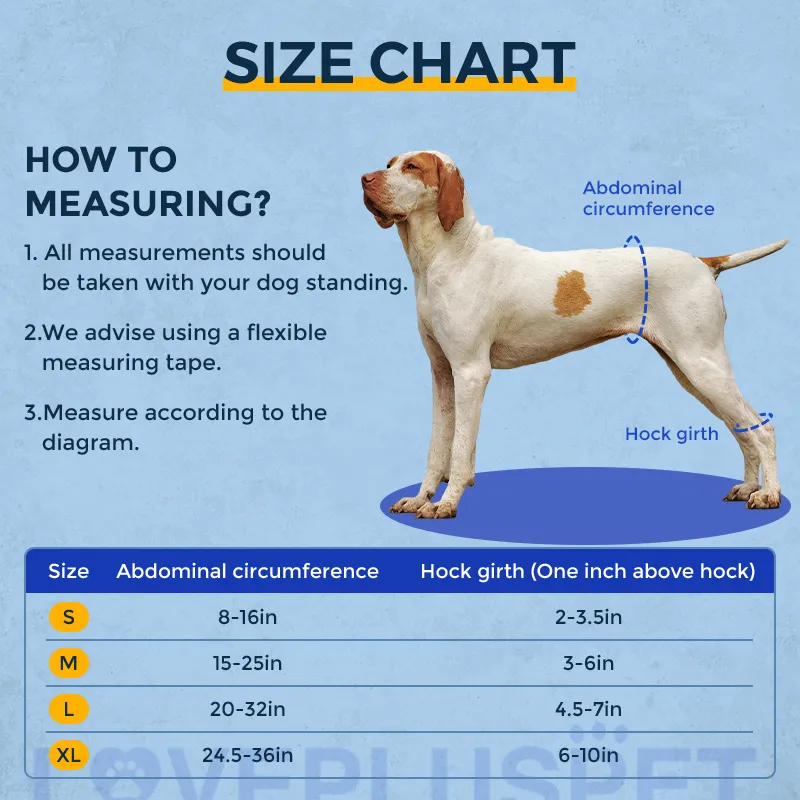 Dog hind leg hip brace