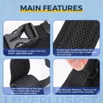 Dog Hip Brace for Hind Leg