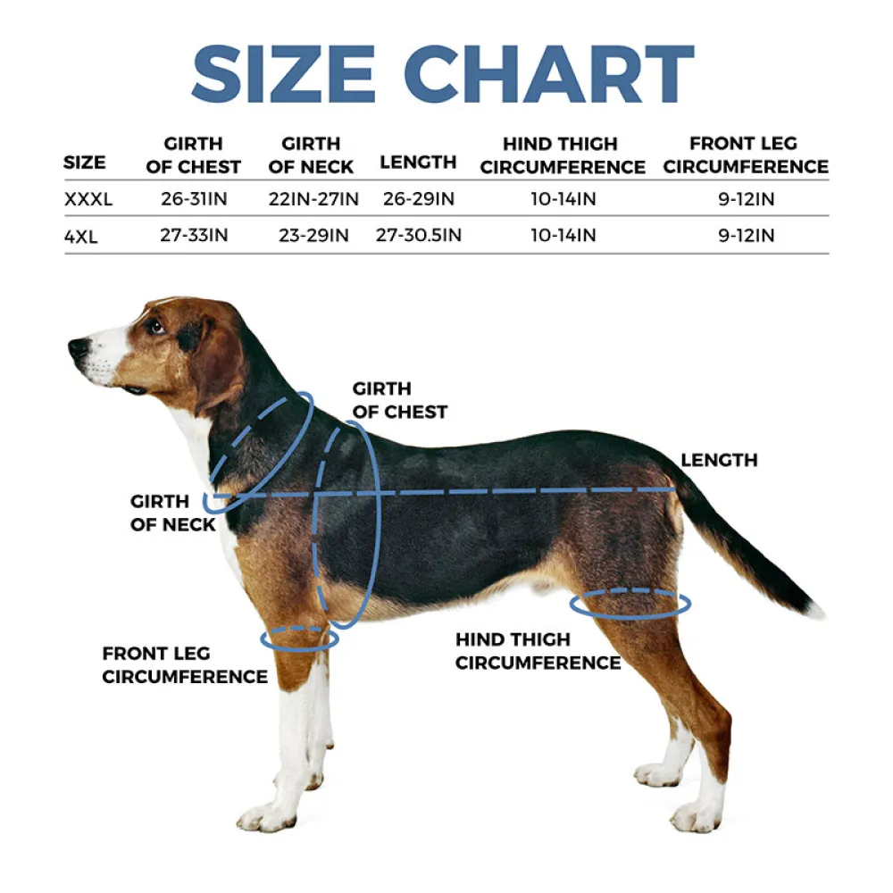 Dog Full Body Lift Backpack Harness