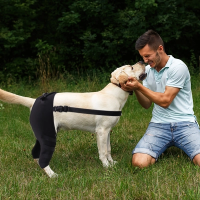 Dog Knee Support Brace 02