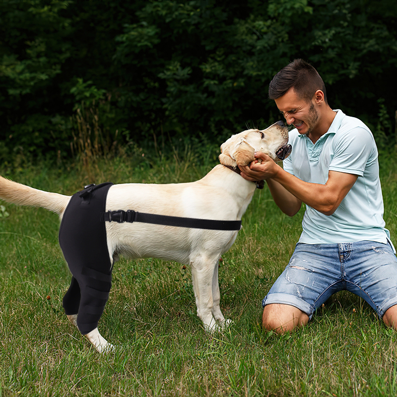 Dog Knee Support Brace