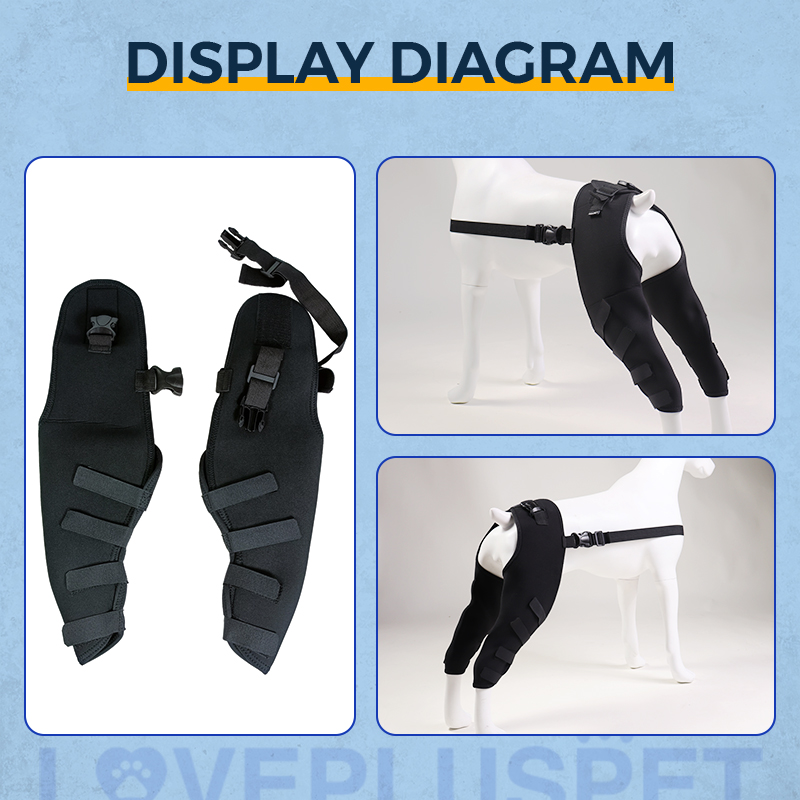 Dog Knee Support Brace