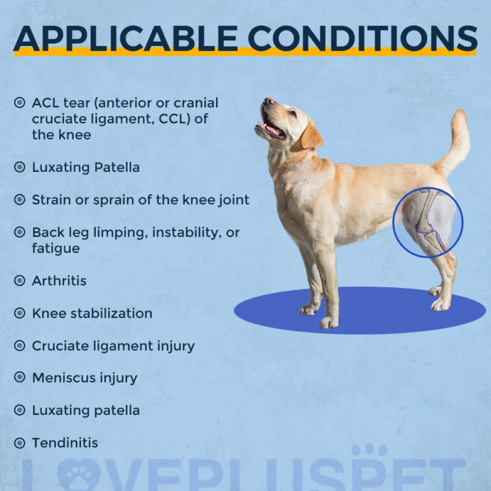 Dog Knee Support Brace