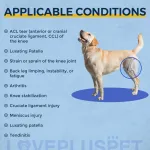 Dog Knee Support Brace