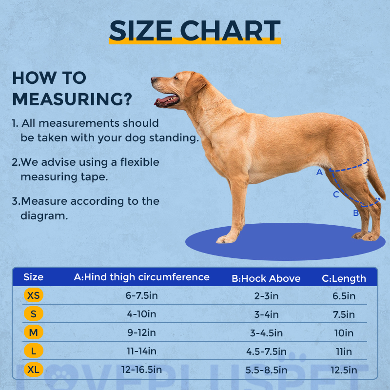 Dog Knee Support Brace