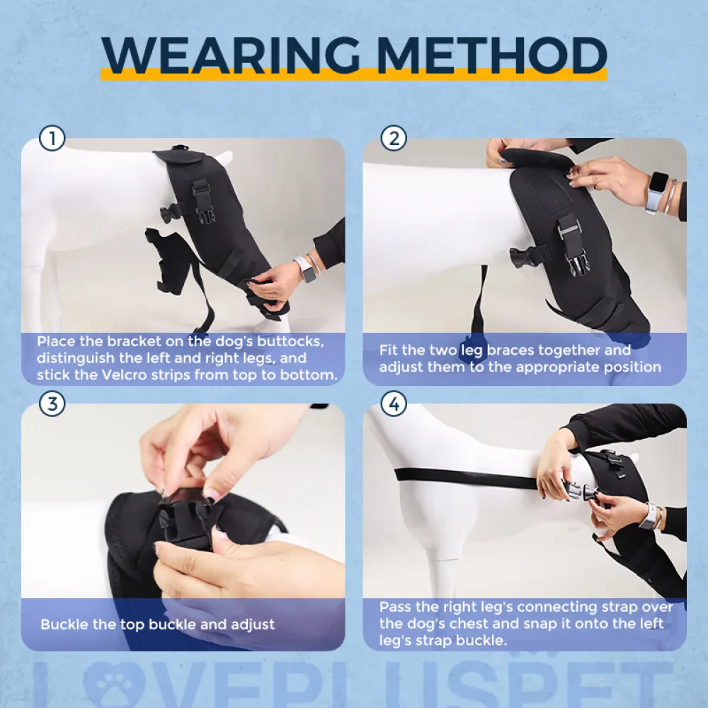 Dog Knee Support Brace