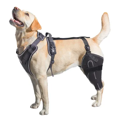Dog Knee Brace for Torn Acl Hind Leg 01