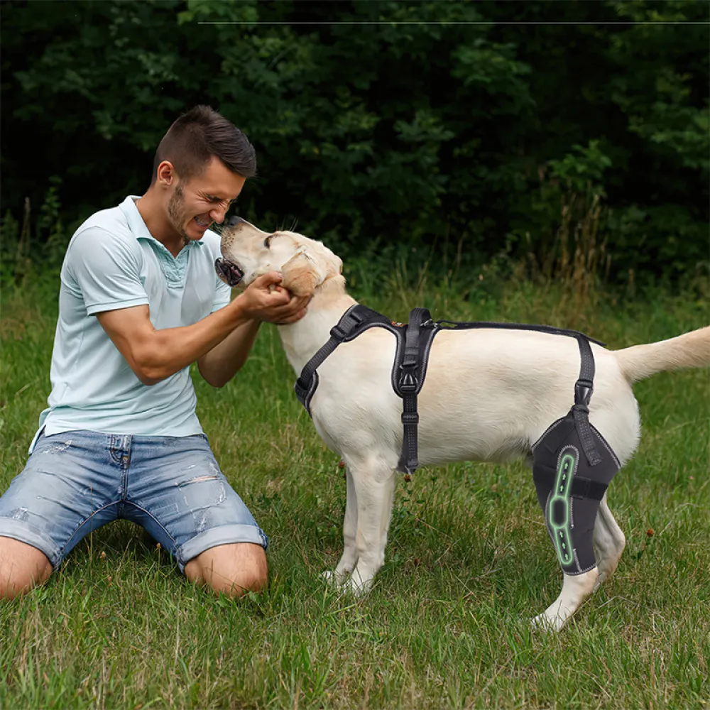 Dog Knee Brace for Torn Acl Hind Leg