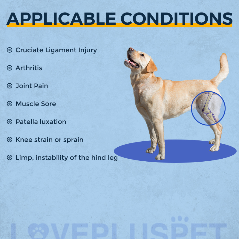 Dog Knee Brace for Torn Acl Hind Leg