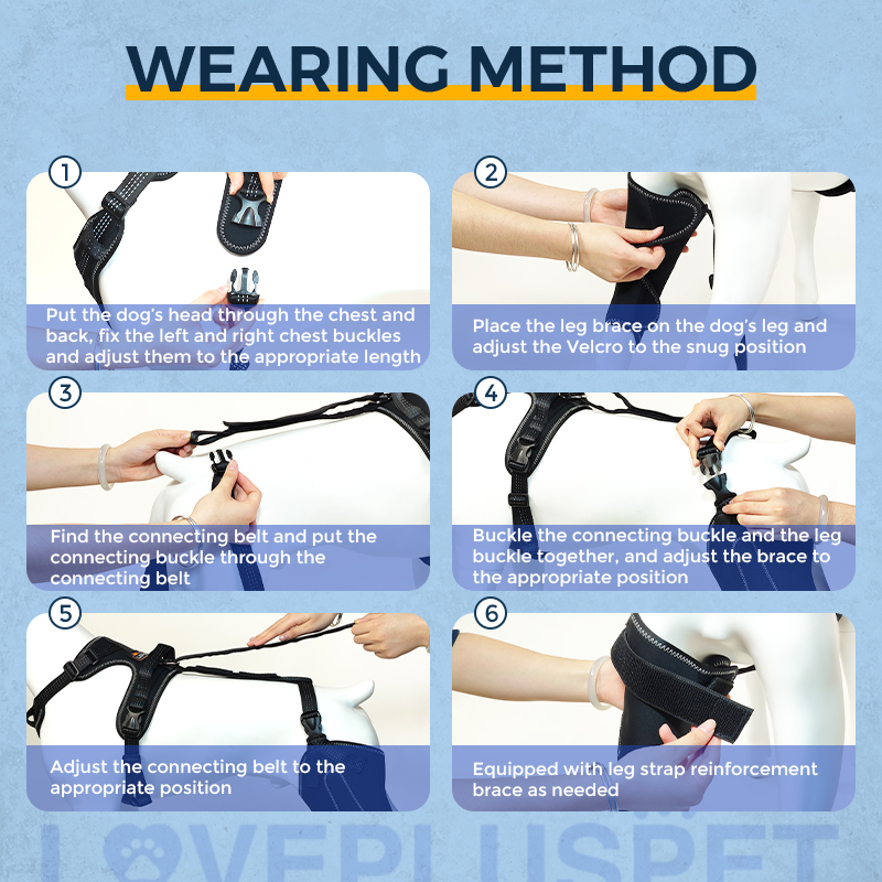 Dog Knee Brace for Torn Acl Hind Leg