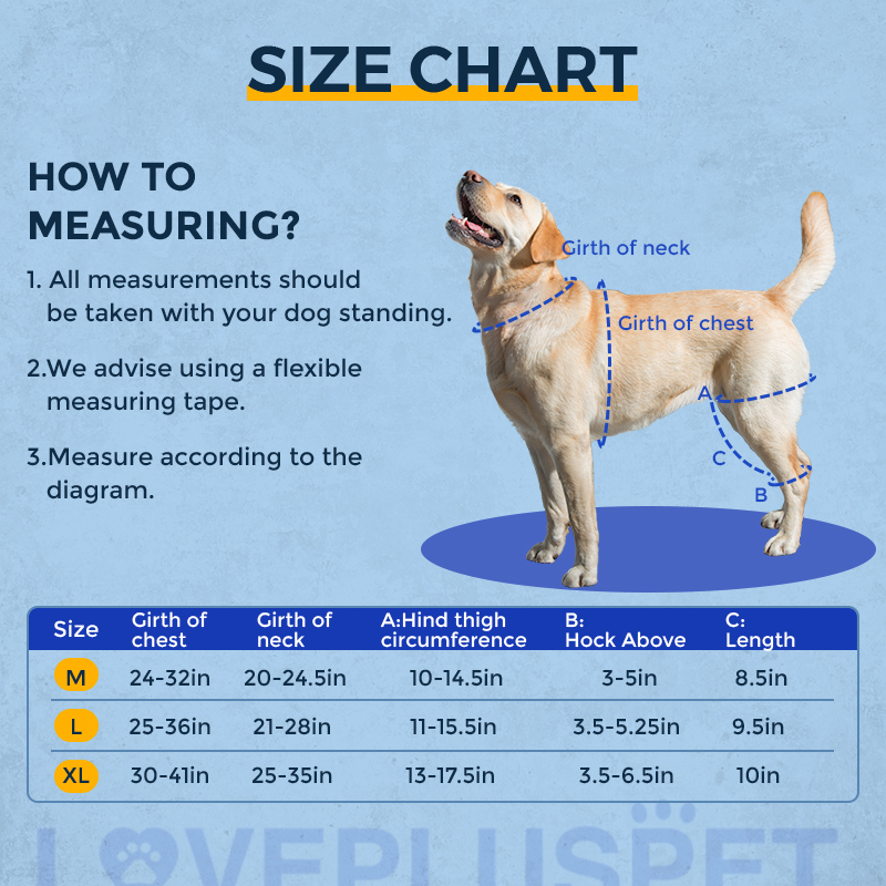Dog Knee Brace for Torn Acl Hind Leg