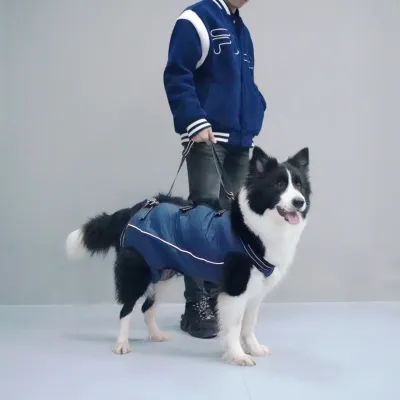 Dog Lift Harness Full Body Support 02