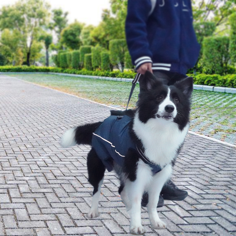 Dog Lift Back Full Body Support Belt