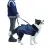 Dog Lift Harness Full Body Support