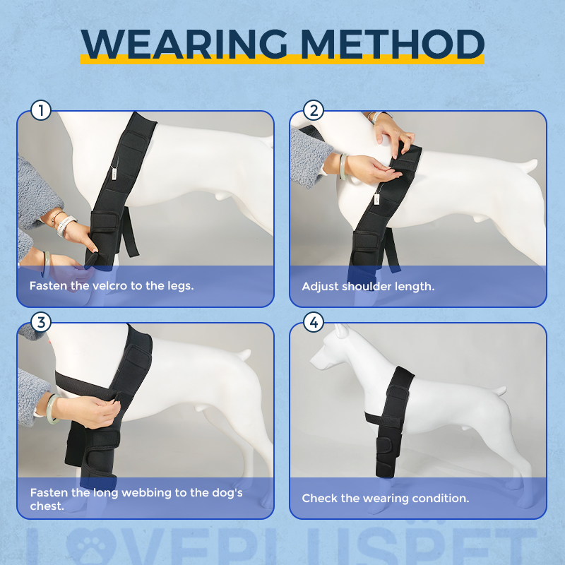 Dog Double Elbow Brace