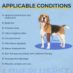 Dog Double Elbow Brace