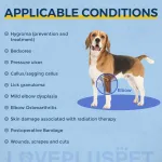 Dog Double Elbow Brace