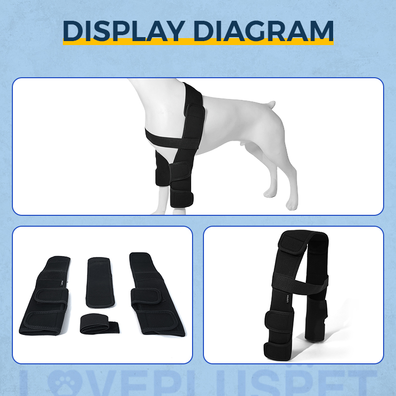 Dog Double Elbow Brace