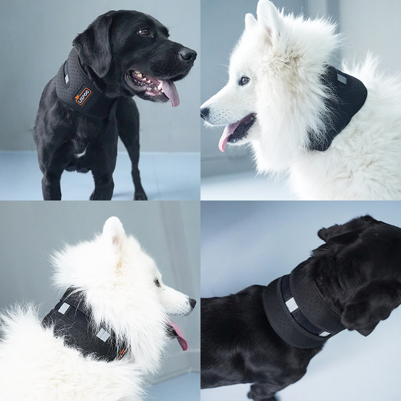 Dog Neck Brace for Dogs Neck Pain