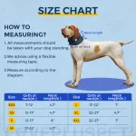 Dog collar relieves dog neck pain