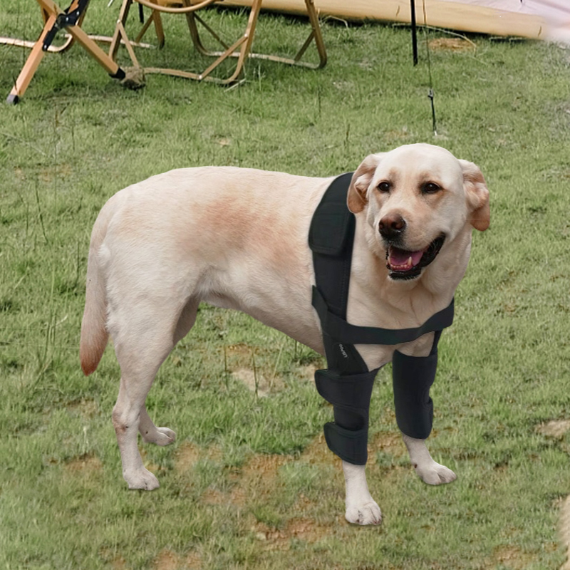 Dog Double Elbow Brace