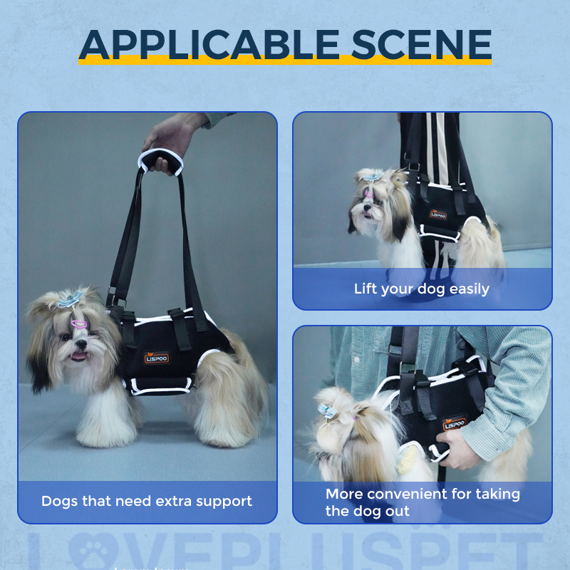 Dog harness with handle for outlet lifting