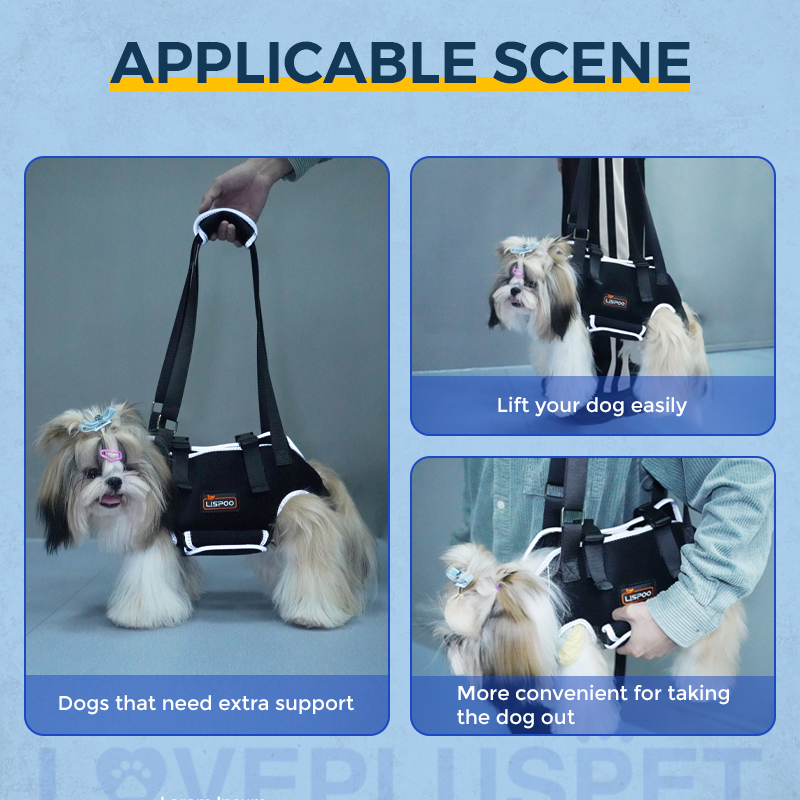 Dog Lift Harness with Handle