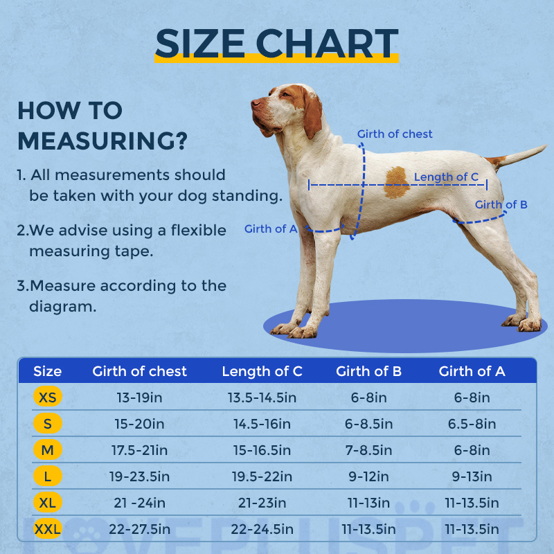Handle Dog Lift Harness 