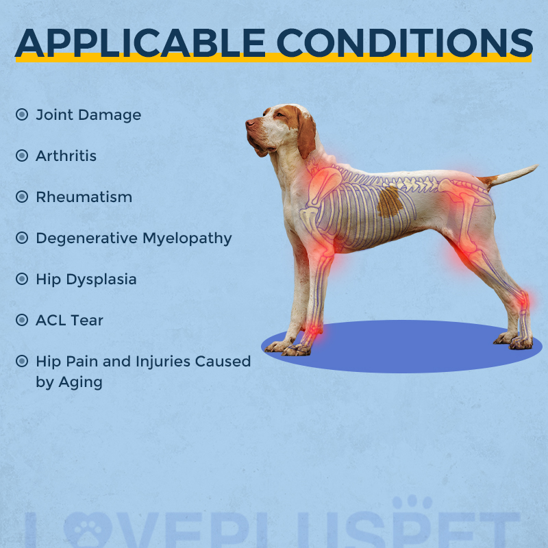 Handle Dog Lift Harness 