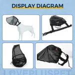Field Guard Head Protector for Dogs