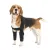 Dog Double Elbow Brace