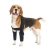 Dog Double Elbow Brace