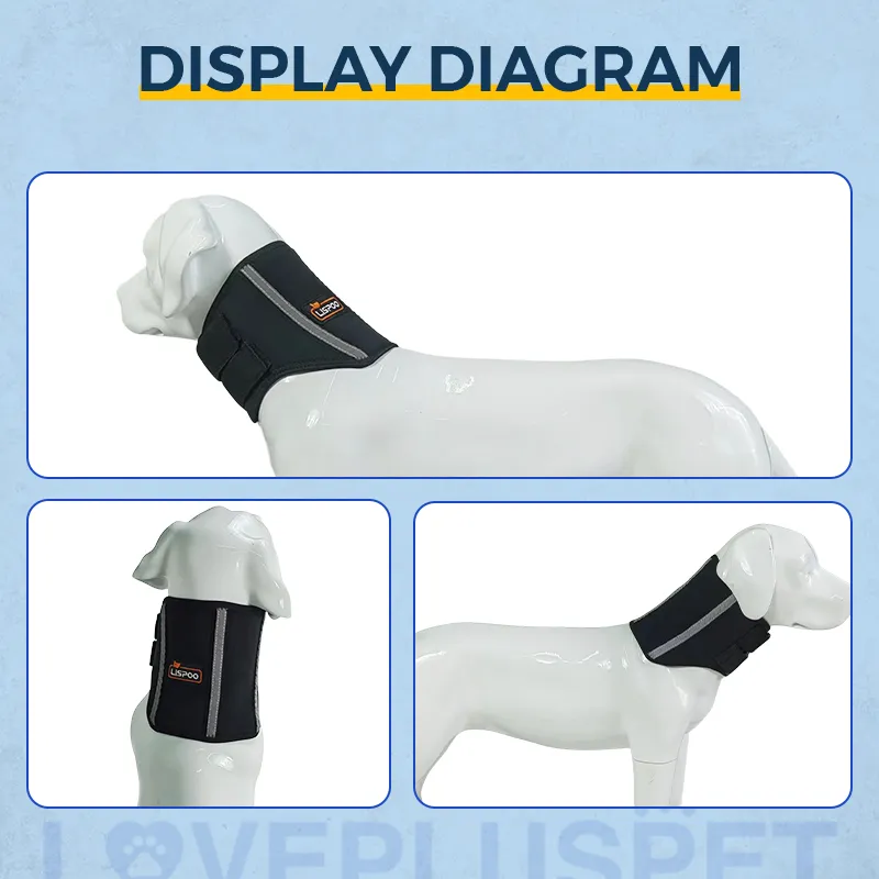 Dog Neck Support Brace