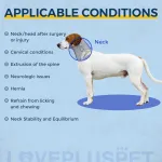Dog Neck Support Brace