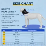 Dog Neck Support Brace