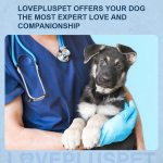 Dog Neck Support Brace