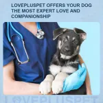 Dog Neck Support Brace