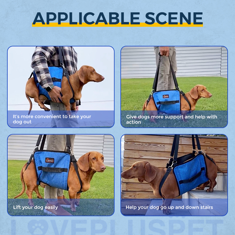 Best Mid-body Dog Support Harness For Sale