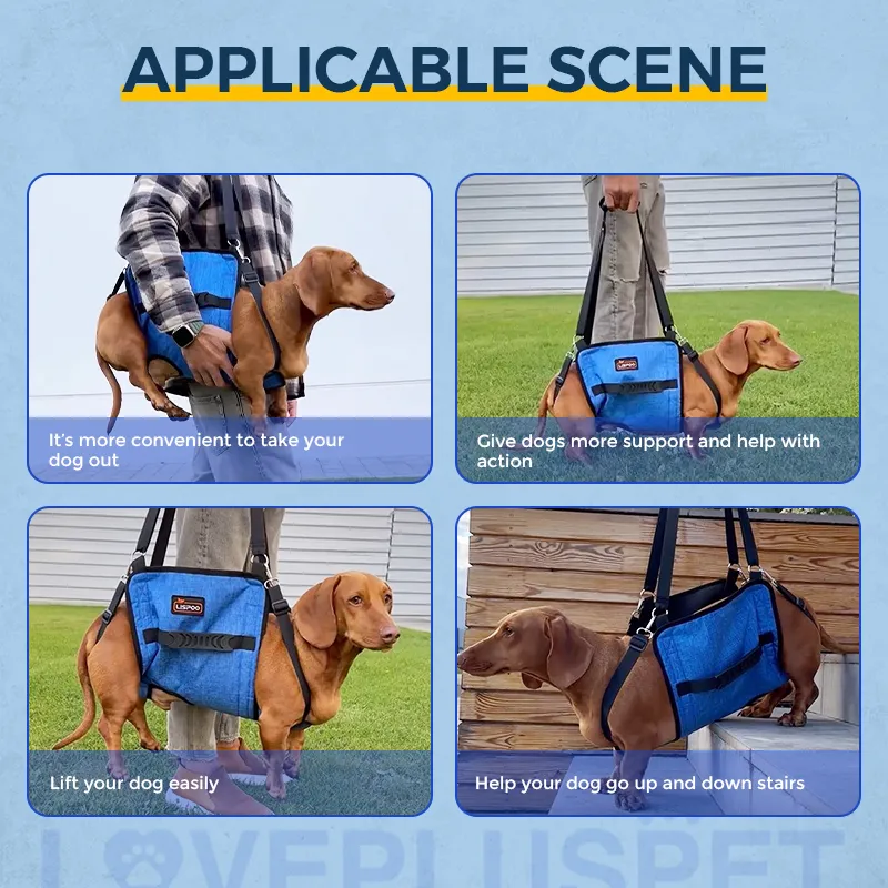  Belly Sling for Large Dogs